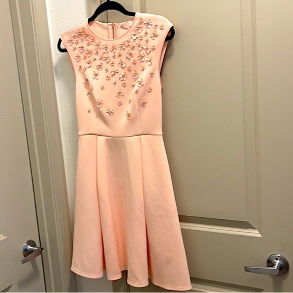 Ted Baker Dress - NWOT size L